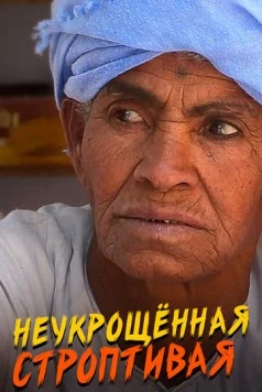 Неукрощенная строптивая 2015 скачать через торрент в хорошем качестве