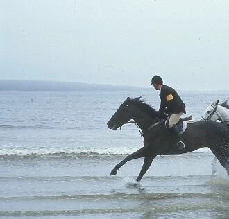 Бегство 2002 скачать торрентом Бегство 2002 скачать торрентом