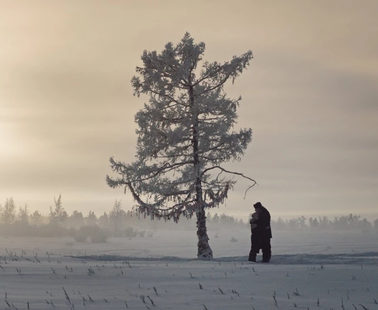 Белый пароход 2024 скачать с торрента Белый пароход 2024 скачать с торрента