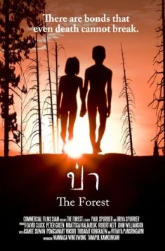 Лес / The Forest 2016 скачать через торрент в хорошем качестве