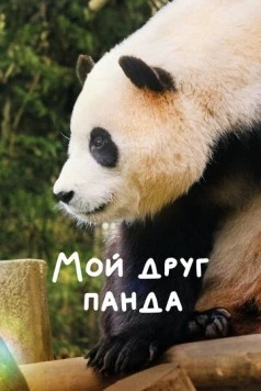 Мой друг панда / My Dearest Fu Bao 2024 скачать через торрент в хорошем качестве
