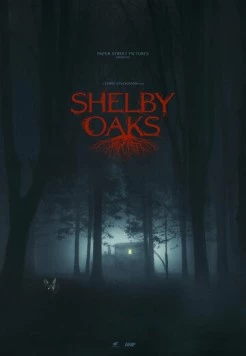Шелби Оукс. Город-призрак / Shelby Oaks 2024 скачать через торрент в хорошем качестве