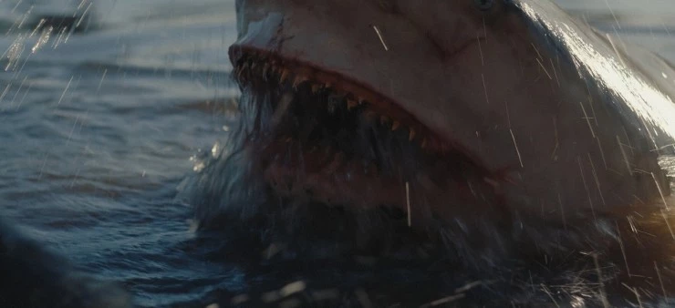 Багровая отмель 2025 скачать через торрент бесплатно Багровая отмель 2025 скачать через торрент бесплатно