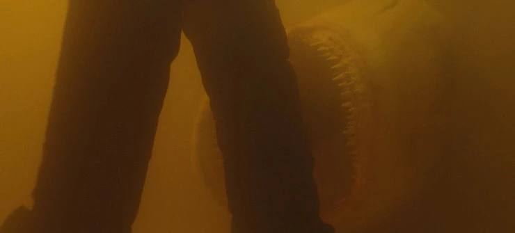 Багровая отмель 2025 скачать с торрента Багровая отмель 2025 скачать с торрента