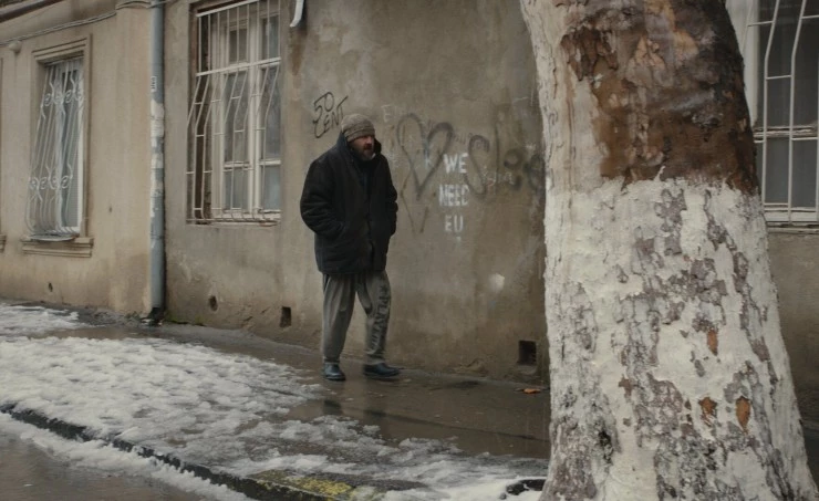 Снег в моём дворе 2024 скачать с торрента Снег в моём дворе 2024 скачать с торрента