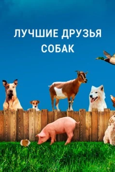 Лучшие друзья собак / Dog's Best Friend 2014 скачать через торрент в хорошем качестве