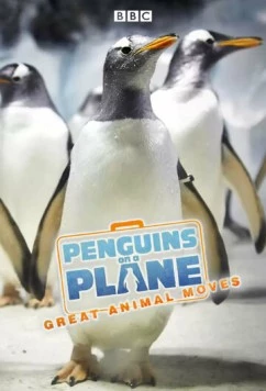 Пингвины на самолете: Передвижение великих животных / Penguins on a Plane: Great Animal Moves 2014 скачать через торрент в хорошем качестве