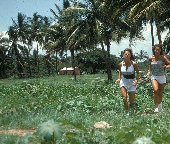 Жара в Акапулько 1993 скачать через торрент бесплатно Жара в Акапулько 1993 скачать через торрент бесплатно