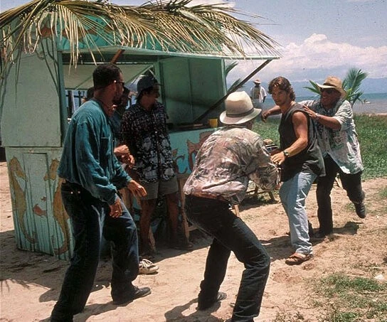 Жара в Акапулько 1993 скачать с торрента Жара в Акапулько 1993 скачать с торрента