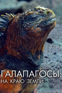 Галапагосы: На краю земли / Galapagos: The Edge of the World 2018 скачать через торрент в хорошем качестве