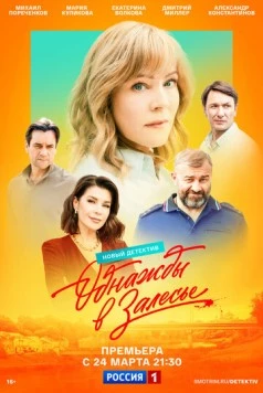 Однажды в Залесье 2025 скачать через торрент в хорошем качестве