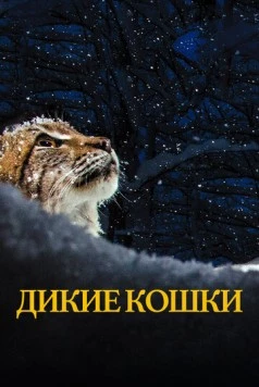 Дикие кошки / Lynx 2021 скачать через торрент в хорошем качестве