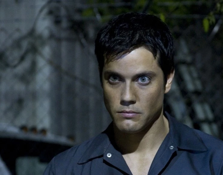 Цепной пес 2010 скачать с торрента Цепной пес 2010 скачать с торрента