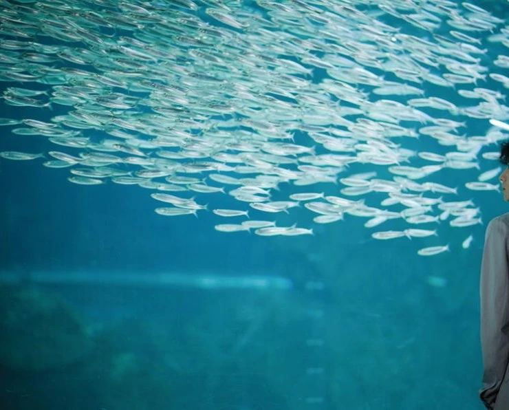 Кукловод 2010 скачать с торрента Кукловод 2010 скачать с торрента