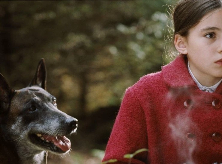 Меня зовут Элизабет 2006 скачать через торрент бесплатно Меня зовут Элизабет 2006 скачать через торрент бесплатно