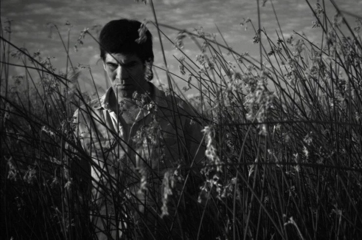 Леон 2007 скачать через торрент бесплатно Леон 2007 скачать через торрент бесплатно