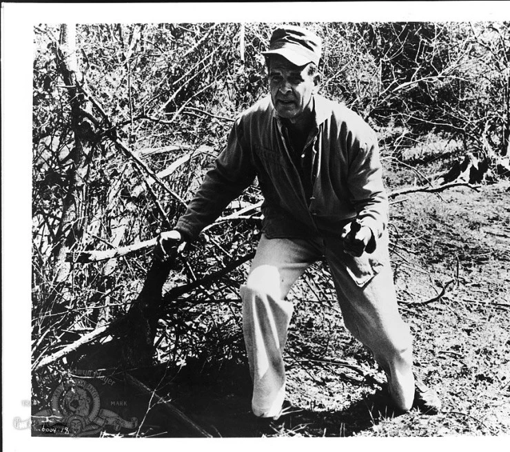 Необычайно прозрачный человек 1960 скачать через торрент бесплатно Необычайно прозрачный человек 1960 скачать через торрент бесплатно