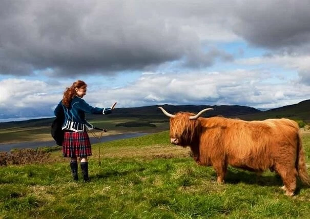 Имоджен МакКартери 2010 скачать через торрент бесплатно Имоджен МакКартери 2010 скачать через торрент бесплатно