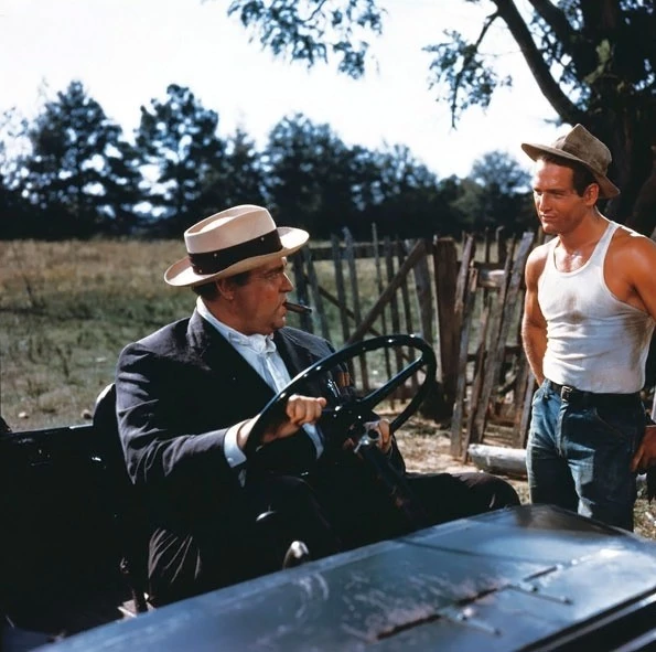 Долгое жаркое лето 1958 скачать с торрента Долгое жаркое лето 1958 скачать с торрента