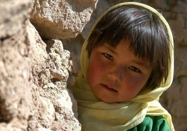 Будда рухнул от стыда 2007 скачать с торрента Будда рухнул от стыда 2007 скачать с торрента