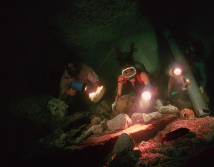 Бездна 1977 скачать через торрент бесплатно Бездна 1977 скачать через торрент бесплатно