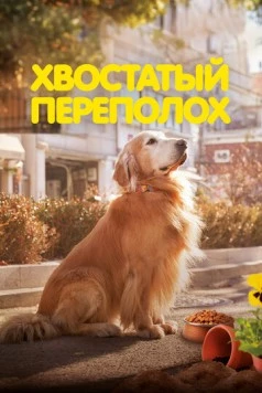 Хвостатый переполох / Dogeudeijeu 2024 скачать через торрент в хорошем качестве