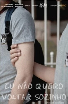Я не хочу возвращаться один / Eu Não Quero Voltar Sozinho 2010 скачать через торрент в хорошем качестве