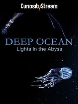 Глубокий океан: Свет в бездне / Deep Ocean: Lights in the Abyss 2016 скачать через торрент в хорошем качестве