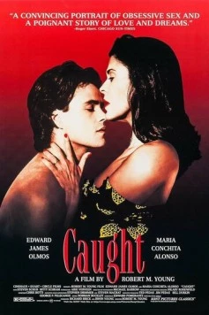Ложь / Caught 1996 скачать через торрент в хорошем качестве