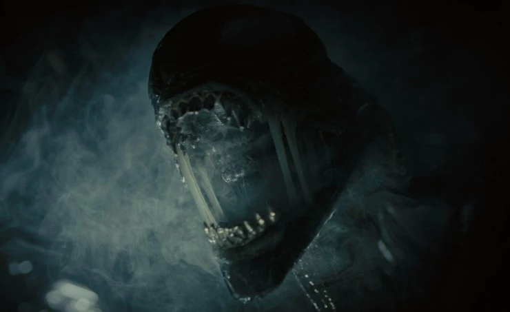 Чужой: Ромул 2024 скачать через торрент бесплатно Чужой: Ромул 2024 скачать через торрент бесплатно