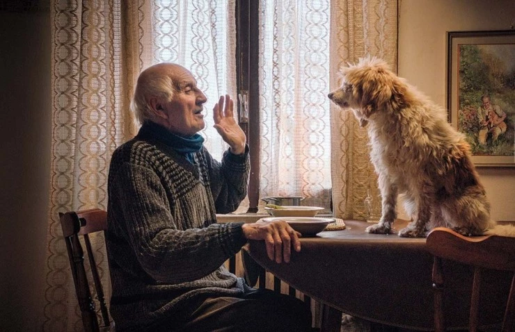 Охотники за трюфелями 2020 скачать с торрента Охотники за трюфелями 2020 скачать с торрента