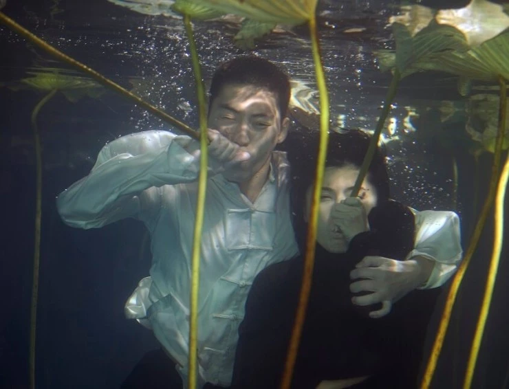 Земля так богата красотой 2014 скачать с торрента Земля так богата красотой 2014 скачать с торрента