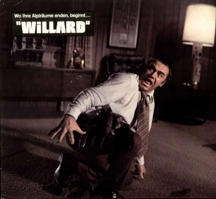 Уиллард 1971 скачать с торрента Уиллард 1971 скачать с торрента
