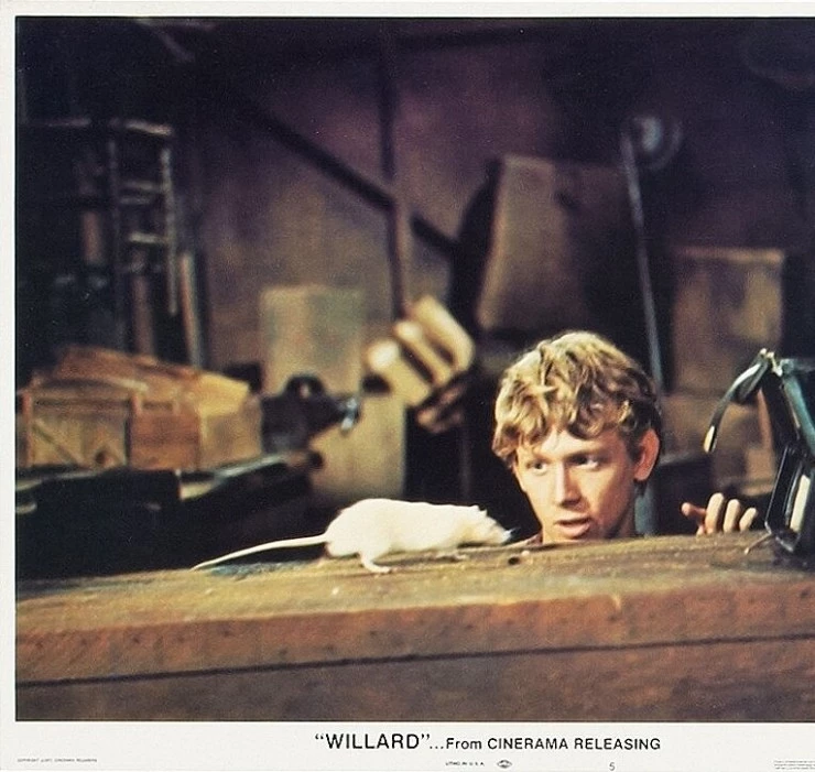 Уиллард 1971 скачать торрентом Уиллард 1971 скачать торрентом
