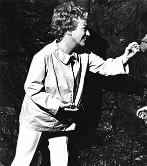 Трог 1970 скачать с торрента Трог 1970 скачать с торрента