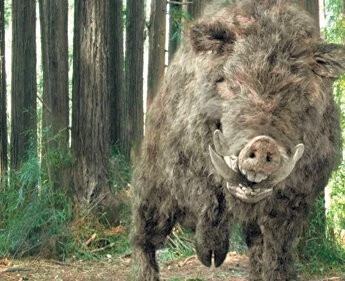 Кабан-убийца 2009 скачать с торрента Кабан-убийца 2009 скачать с торрента