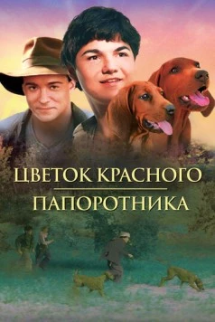 Цветок Красного папоротника / Where The Red Fern Grows 2003 скачать через торрент в хорошем качестве