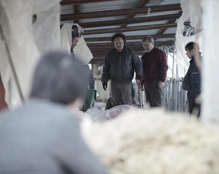 Дикие псы 2014 скачать через торрент бесплатно Дикие псы 2014 скачать через торрент бесплатно