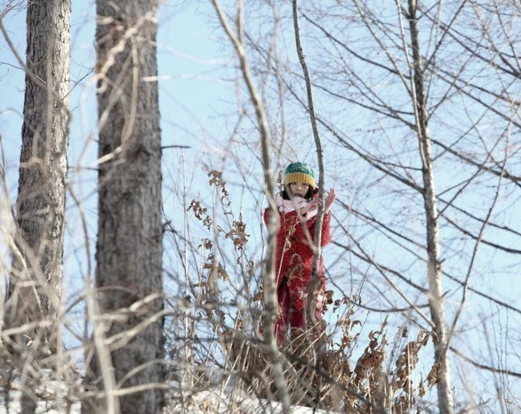 Дикие псы 2014 скачать торрентом Дикие псы 2014 скачать торрентом