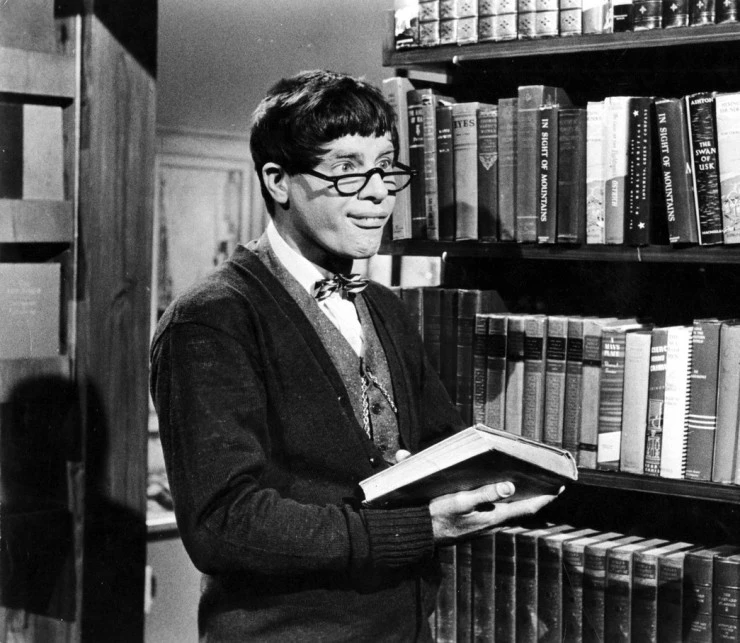 Чокнутый профессор 1963 скачать торрентом Чокнутый профессор 1963 скачать торрентом