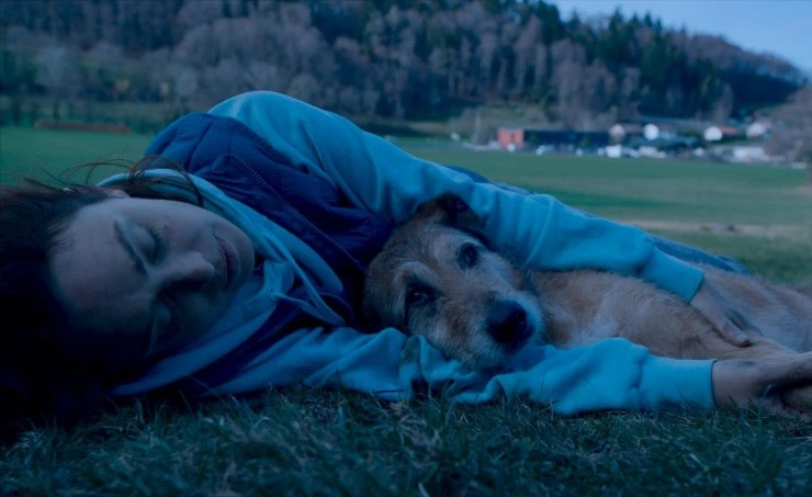 Собачье дело 2024 скачать торрентом Собачье дело 2024 скачать торрентом