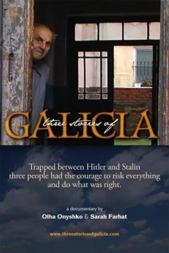 Три истории из Галичины / Three Stories of Galicia 2010 скачать через торрент в хорошем качестве