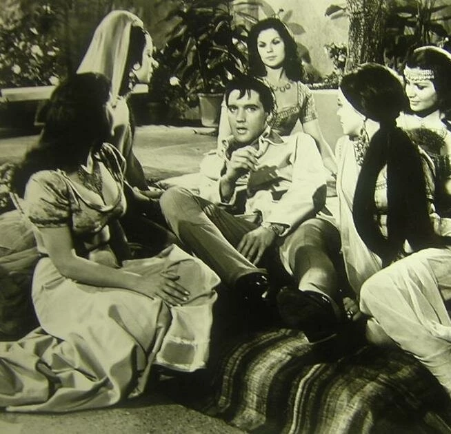 Каникулы в гареме 1965 скачать через торрент бесплатно Каникулы в гареме 1965 скачать через торрент бесплатно