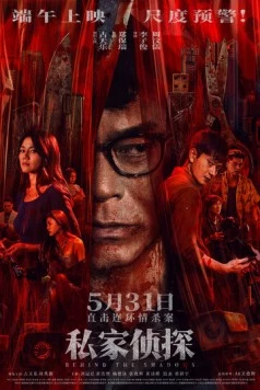 В тени / Si gaa zing taam 2025 скачать через торрент в хорошем качестве