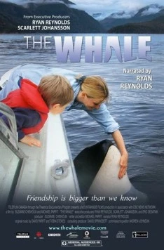 Кит / The Whale 2011 скачать через торрент в хорошем качестве