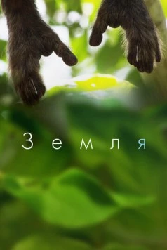 Земля / Terra 2015 скачать через торрент в хорошем качестве