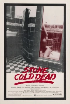 Ледяная смерть / Stone Cold Dead 1979 скачать через торрент в хорошем качестве