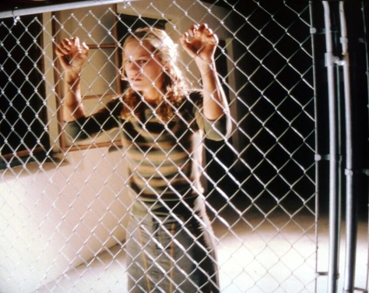 Спастись до рассвета 2004 скачать торрентом Спастись до рассвета 2004 скачать торрентом