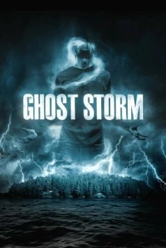 Призрачный шторм / Ghost Storm 2011 скачать через торрент в хорошем качестве