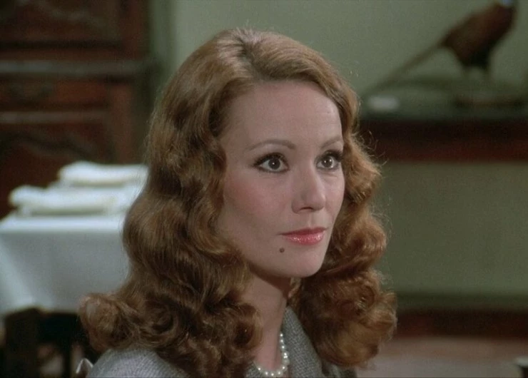 Полицейская история 1975 скачать с торрента Полицейская история 1975 скачать с торрента